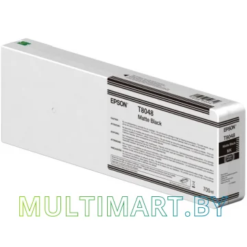Картридж Epson C13T804700